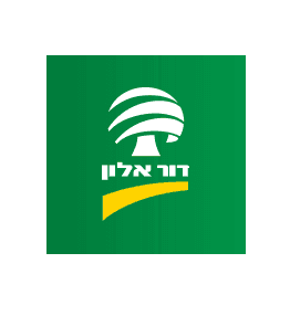 דור אלון
